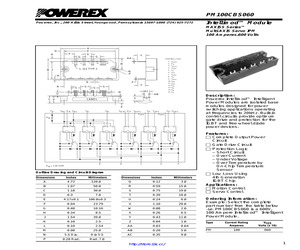 PM100CBS060.pdf