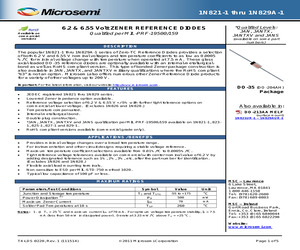 1N821A-1-1%E3.pdf