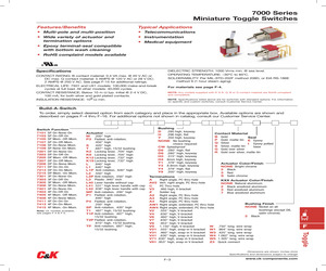 7211P1DV8BE.pdf