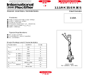 110RKI120.pdf