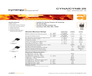 CYNB25-1200PT.pdf