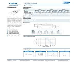 HMG10043MF.pdf