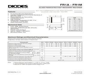 FR1G-13-F.pdf