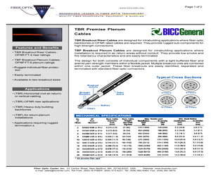 CT0081B1U.pdf