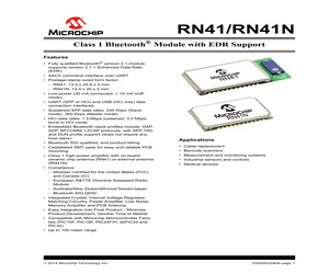 RN41HID-I/RM.pdf