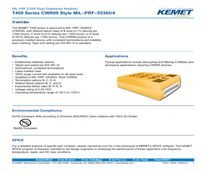 CWR09HB106KCA.pdf