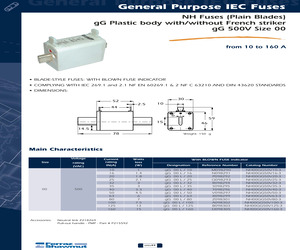 NH00GG50V10-3.pdf