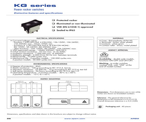 KG310A2STA2831CV01.pdf