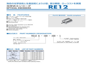 RE12A-300-100-1.pdf