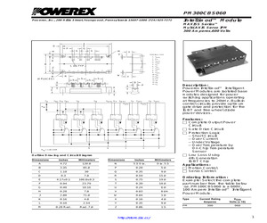 PM300CBS060.pdf