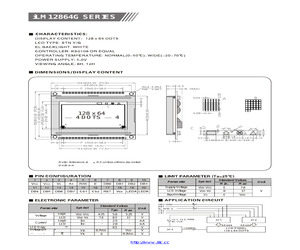 LM12864G Y/W.pdf