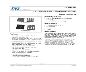 TS4962MEIKJT.pdf