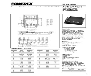 PM50RSA060.pdf