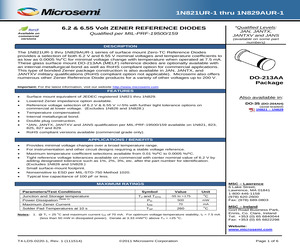 1N823AUR-1-2%E3.pdf