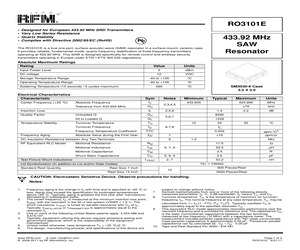 RO3101E.pdf