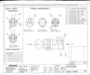 P2/3FCC 209.pdf