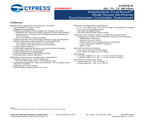 CYAT81688-100AA61T.pdf