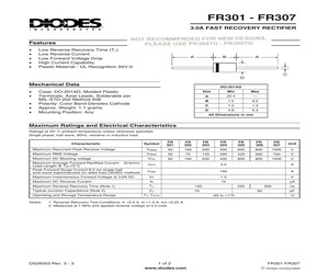 FR304-T.pdf