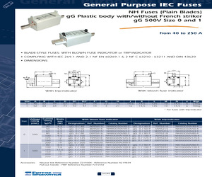 NH1GG50V100-3.pdf