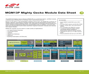 MGM13P02F512GE-V2R.pdf