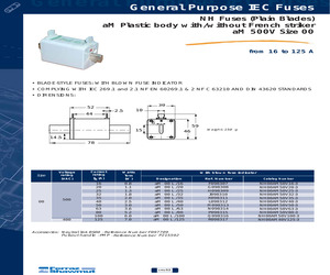 NH00AM40V125-3.pdf