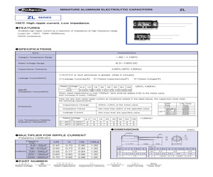 16ZL1000MEFC10X20.pdf