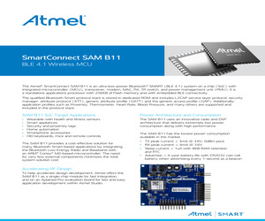 ATSAMB11-MR210CA.pdf