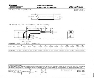 223W301-25-0.pdf