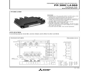 PM300CLA060.pdf