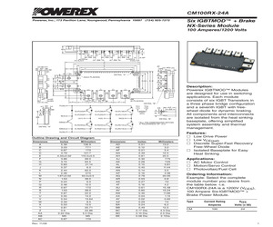 CM100RX-24A.pdf