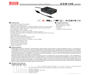 GSM18B07-P1J.pdf