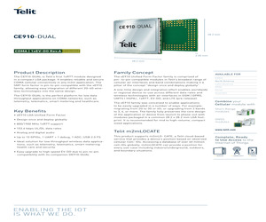 CE910DUA822T023.pdf