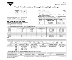 FHV100100RJNRB.pdf