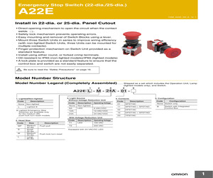 A22E-M-12-EMO.pdf