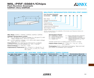 CDR31BP100BJWR.pdf