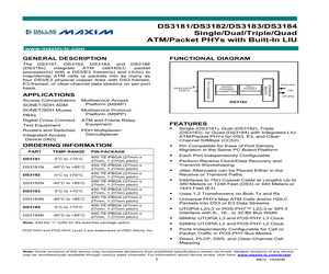 DS3181+.pdf