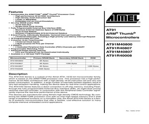 AT91R40807-33AC.pdf