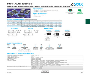 F910J107MAAAJ6.pdf