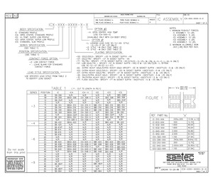 ICA-648-SGT-H.pdf