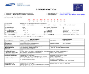 CL10C060DB8NNNC.pdf