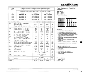 SK1GD09.pdf