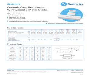 CAW10R220JLF.pdf