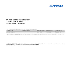 B58621K1510A065.pdf