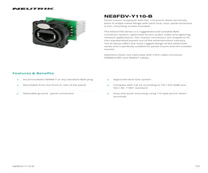 NE8FDV-Y110-B.pdf