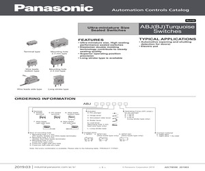 ABJ151041J.pdf