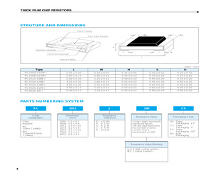 RC2012F100BS.pdf