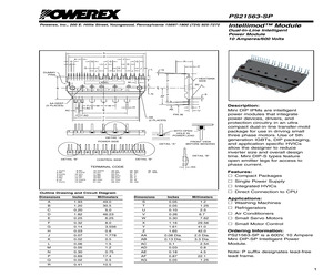 PS21563-SP.pdf