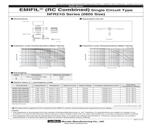 NFR21GD1004702L.pdf