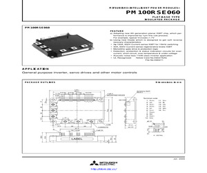 PM100RSE060.pdf