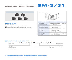 SM-31TW 5K OHM(502).pdf